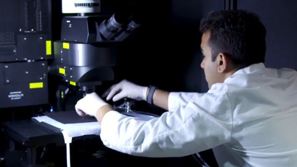 In Vivo Two-Color 2-Photon Imaging of Genetically-Tagged Reporter Cells in the Skin