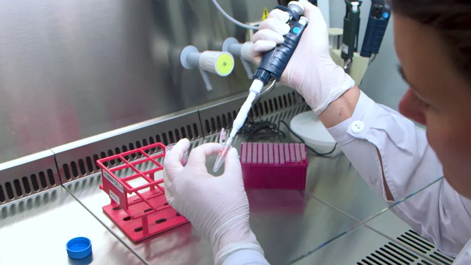 Human Neural Organoids for Studying Brain Cancer and Neurodegenerative Diseases