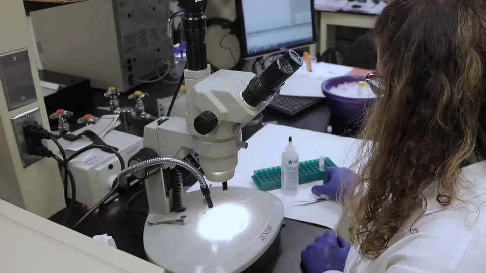 Preparation of Mouse Retinal Cryo-sections for Immunohistochemistry