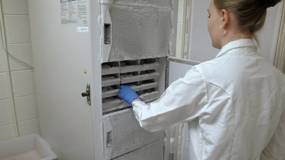 Using Near-infrared Fluorescence and High-resolution Scanning to Measure Protein Expression in the Rodent Brain