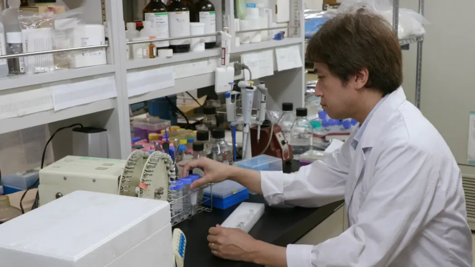 Evaluation of Protein&#8211;Protein Interactions using an On-Membrane Digestion Technique