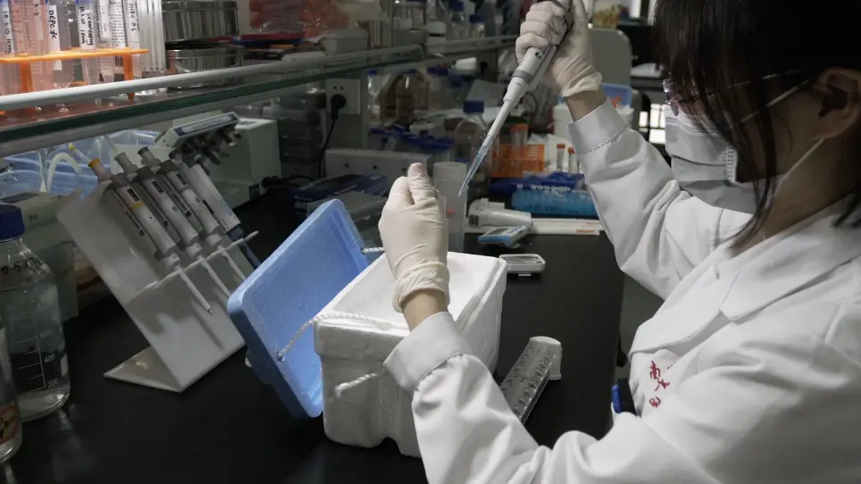 In Vitro Biochemical Assays using Biotin Labels to Study Protein-Nucleic Acid Interactions
