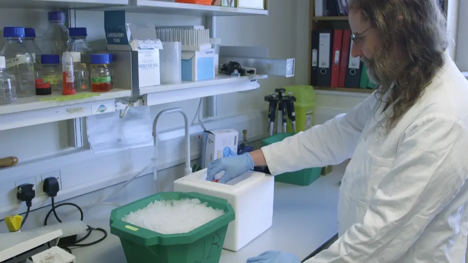 Tuning Degradation to Achieve Specific and Efficient Protein Depletion