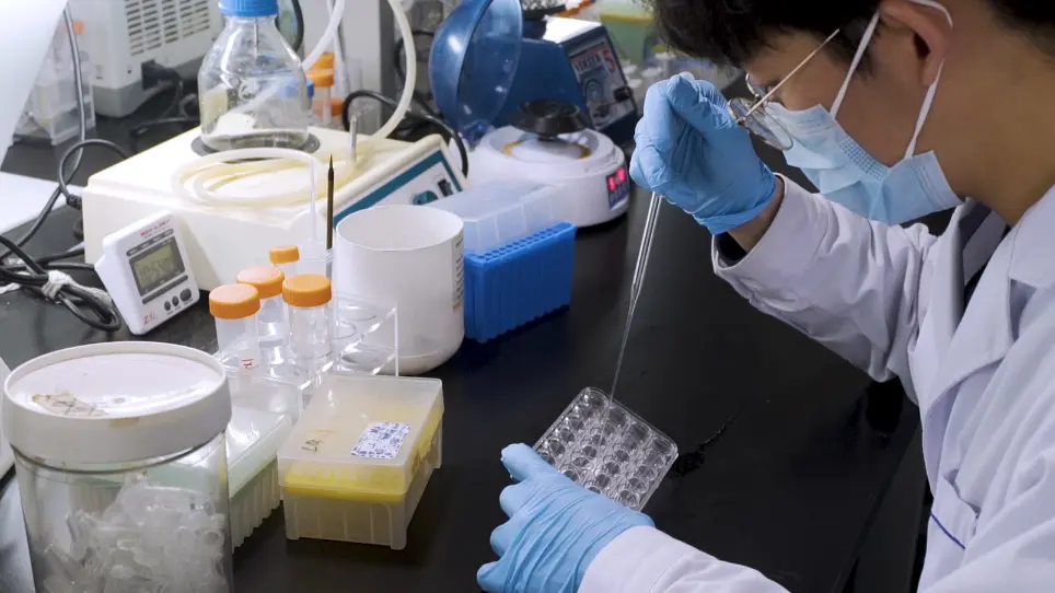 The Detection of 5-Hydroxymethylcytosine in Neural Stem Cells and Brains of Mice