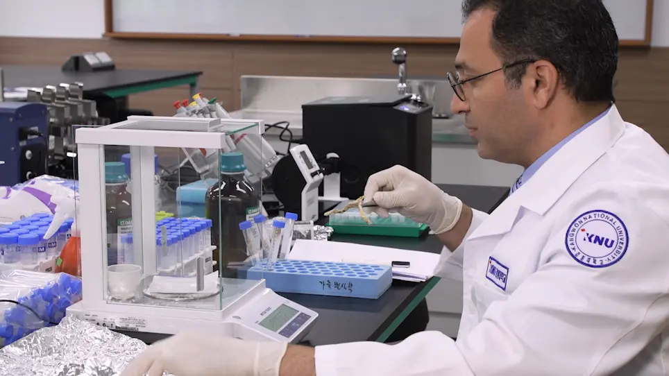 Cortisol Extraction from Sturgeon Fin and Jawbone Matrices