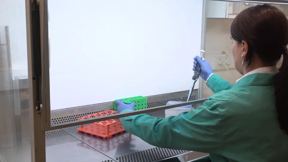 Obtaining Cancer Stem Cell Spheres from Gynecological and Breast Cancer Tumors