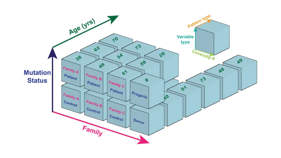 Databases to Efficiently Manage Medium Sized, Low Velocity, Multidimensional Data in Tissue Engineering
