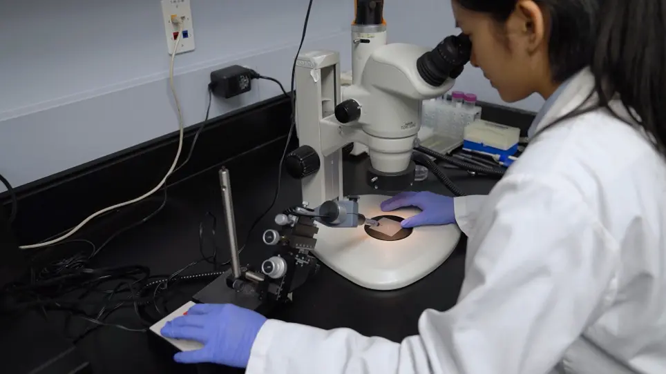 Microinjection of DNA into Eyebuds in <em>Xenopus laevis</em> Embryos and Imaging of GFP Expressing Optic Axonal Arbors in Intact, Living <em>Xenopus</em> Tadpoles