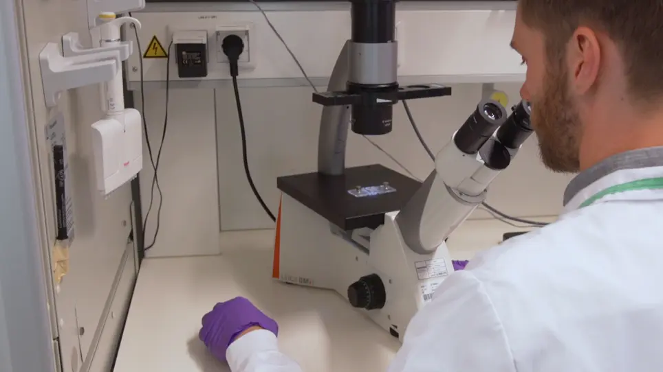 A Fluorescence-based Assay for Characterization and Quantification of Lipid Droplet Formation in Human Intestinal Organoids