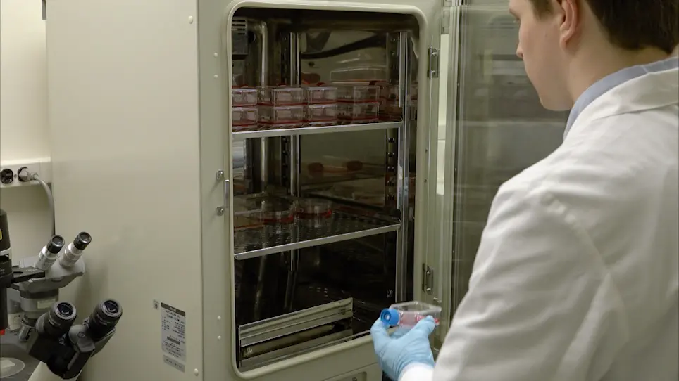 Encapsulated Cell Technology for the Delivery of Biologics to the Mouse Eye