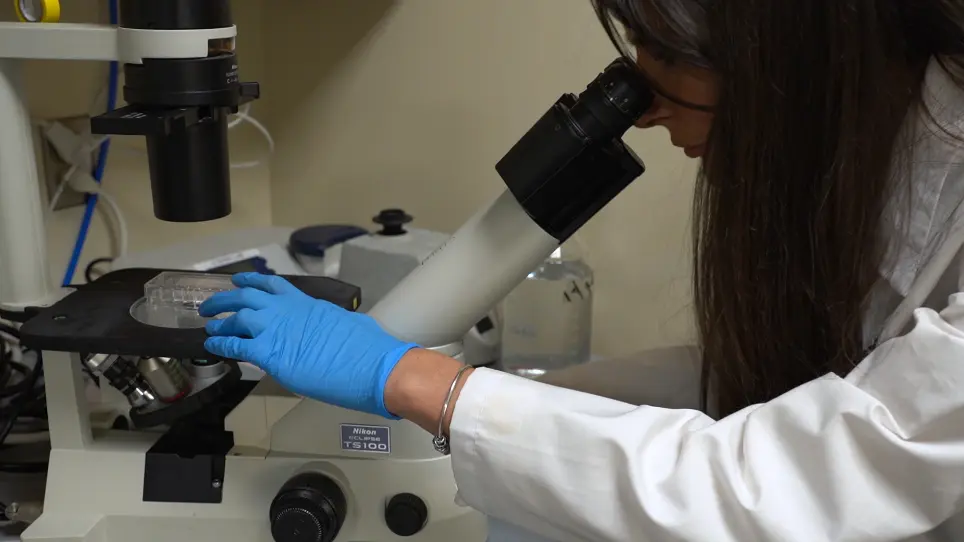 Analysis of Hematopoietic Stem Progenitor Cell Metabolism