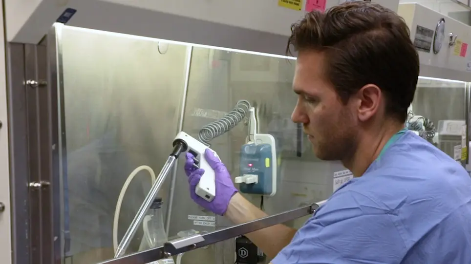Bulk Droplet Vitrification for Primary Hepatocyte Preservation