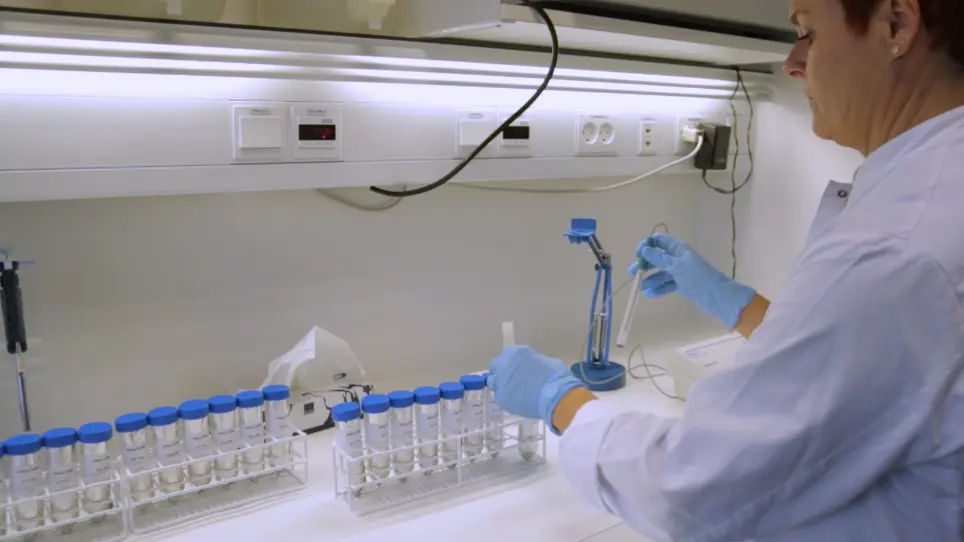Monitoring Extracellular pH in Cross-Kingdom Biofilms using Confocal Microscopy