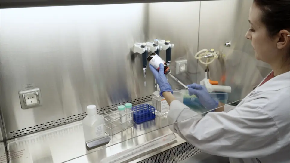 Fibroblast-Derived 3D Matrix System Applicable to Endothelial Tube Formation Assay