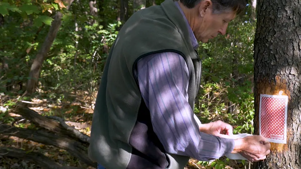 Quantifying Corticolous Arthropods Using Sticky Traps