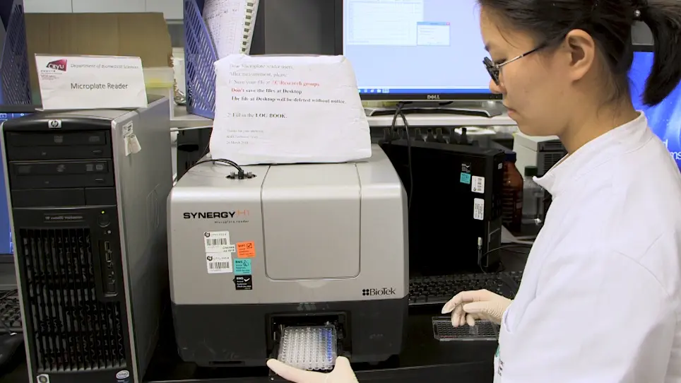Native Polyacrylamide Gel Electrophoresis Immunoblot Analysis of Endogenous IRF5 Dimerization