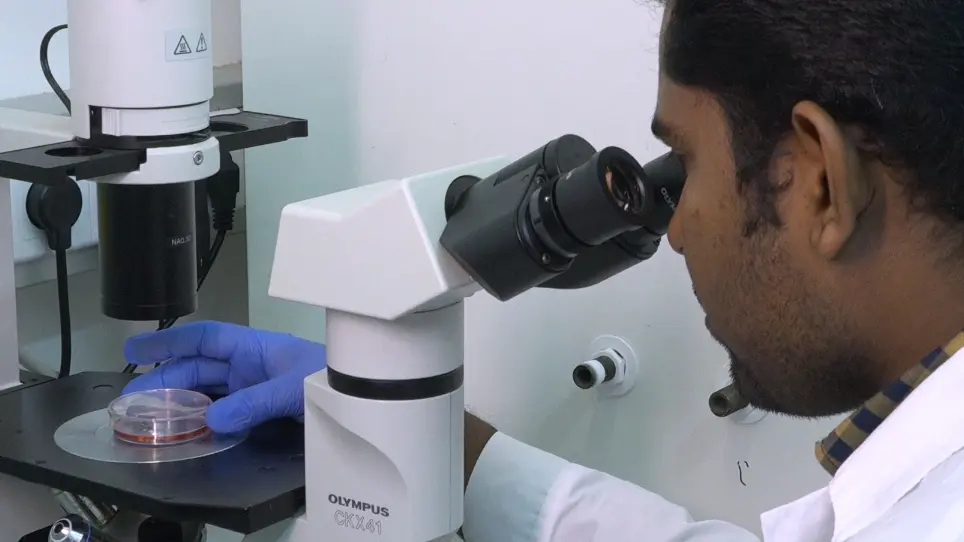 In Vitro Establishment of a Genetically Engineered Murine Head and Neck Cancer Cell Line using an Adeno-Associated Virus-Cas9 System
