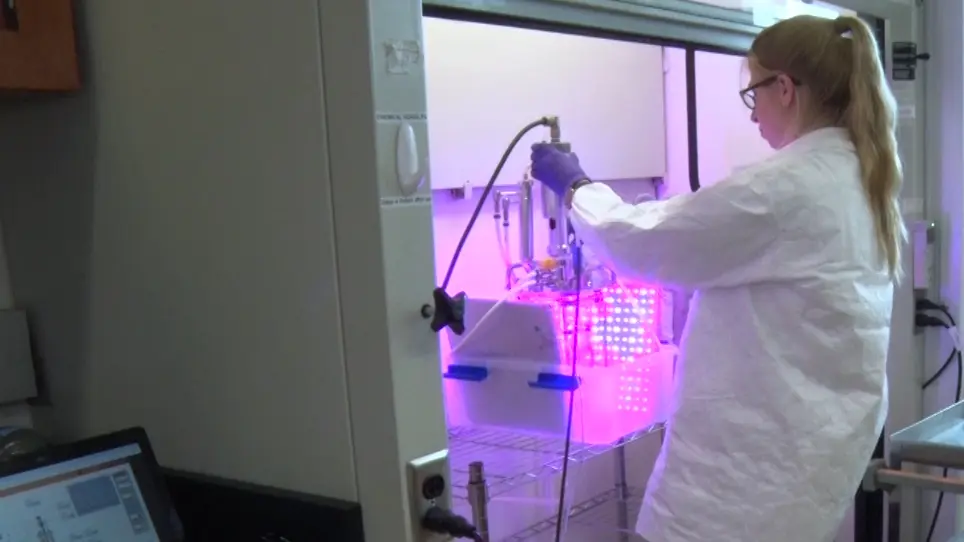 Microalgae Cultivation and Biomass Quantification in a Bench-Scale Photobioreactor with Corrosive Flue Gases