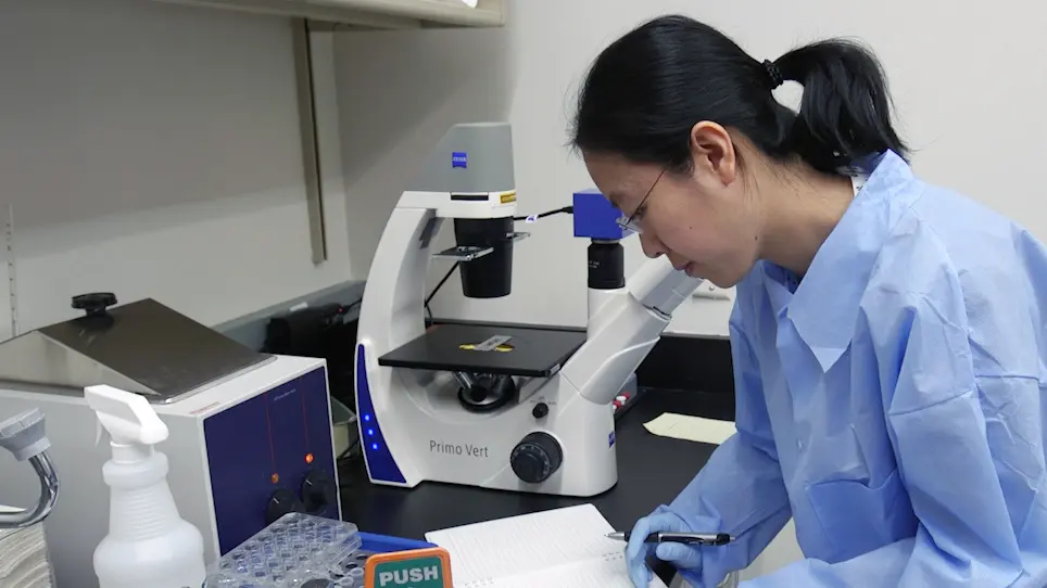 Multidimensional Coculture System to Model Lung Squamous Carcinoma Progression