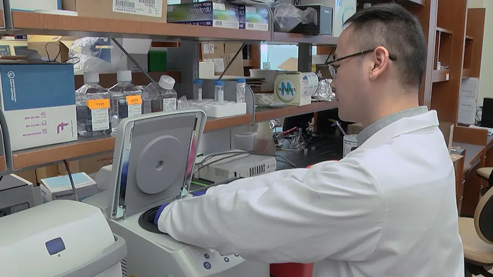 Multiplexed Single Cell mRNA Sequencing Analysis of Mouse Embryonic Cells