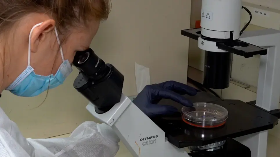 A New Toolkit for Evaluating Gene Functions using Conditional Cas9 Stabilization