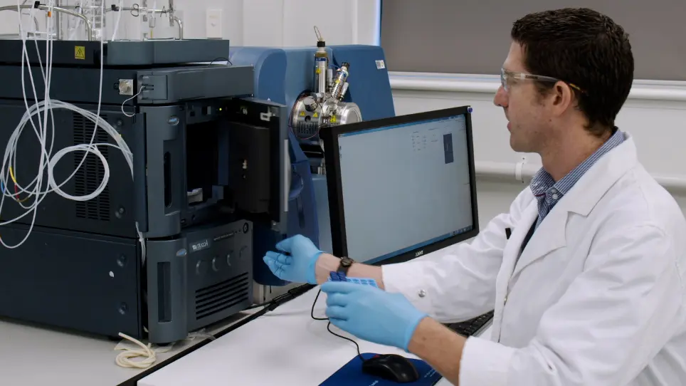 Untargeted Liquid Chromatography-Mass Spectrometry-Based Metabolomics Analysis of Wheat Grain