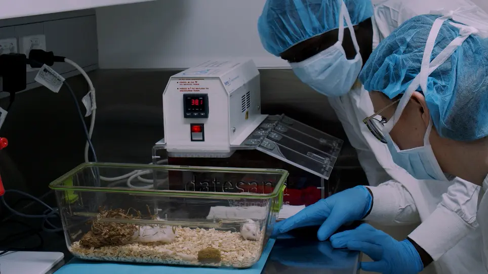 A Mouse Model of Incompletely Resected Soft Tissue Sarcoma for Testing (Neo)adjuvant Therapies