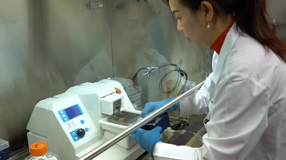 Slicing and Culturing Pig Hearts under Physiological Conditions