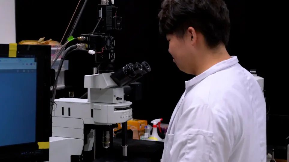 A Custom Multiphoton Microscopy Platform for Live Imaging of Mouse Cornea and Conjunctiva