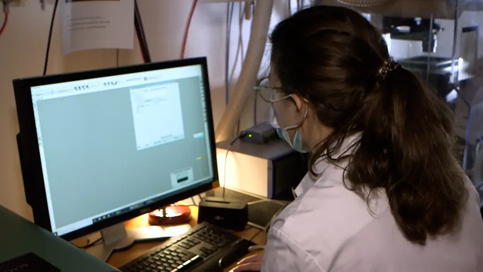 Traction Force Microscopy to Study B Lymphocyte Activation