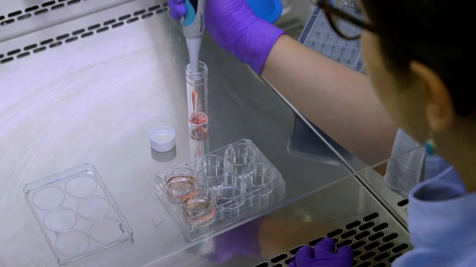 Production and Characterization of Human Macrophages from Pluripotent Stem Cells