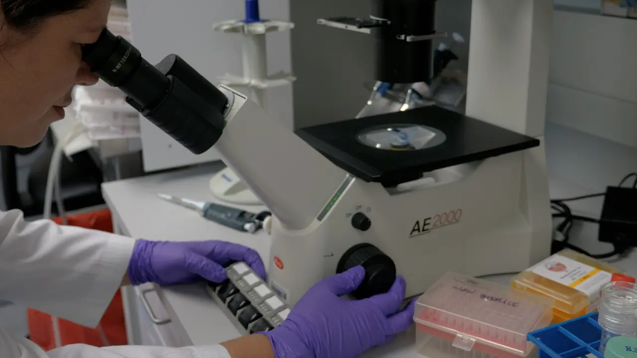 Generating a Fractal Microstructure of Laminin-111 to Signal to Cells