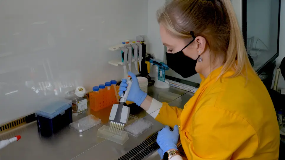 Advanced 3D Liver Models for In vitro Genotoxicity Testing Following Long-Term Nanomaterial Exposure