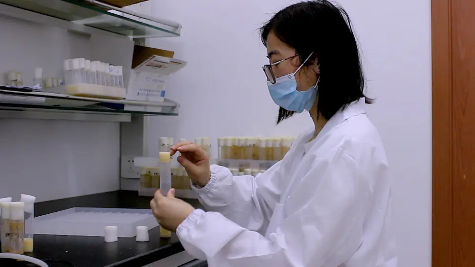 Measuring Crop Motility and Food Passaging in <em>Drosophila</em>
