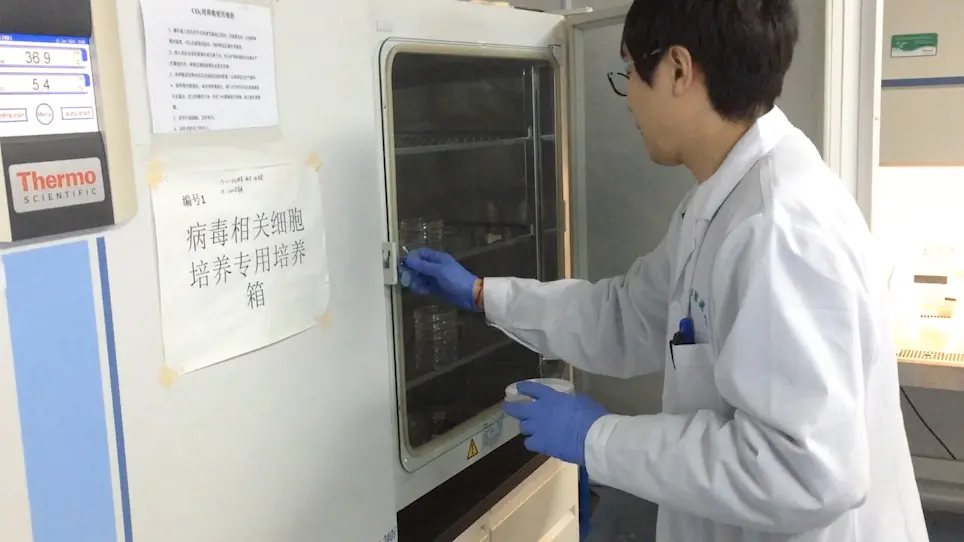 Y-27632 Enriches the Yield of Human Melanocytes from Adult Skin Tissues