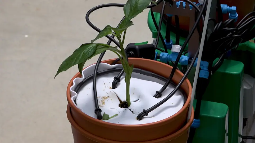 A Telemetric, Gravimetric Platform for Real-Time Physiological Phenotyping of Plant&ndash;Environment Interactions