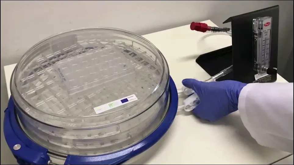 A Cell Culture Model for Studying the Role of Neuron-Glia Interactions in Ischemia