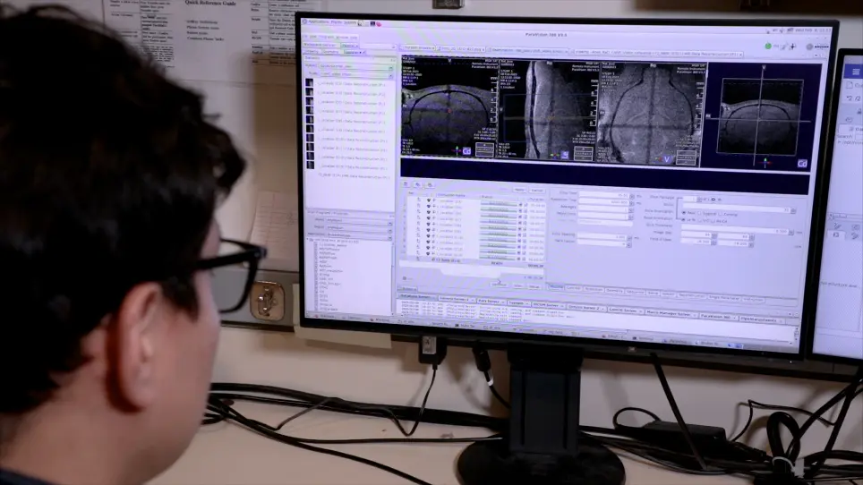 Real-Time fMRI Brain Mapping in Animals