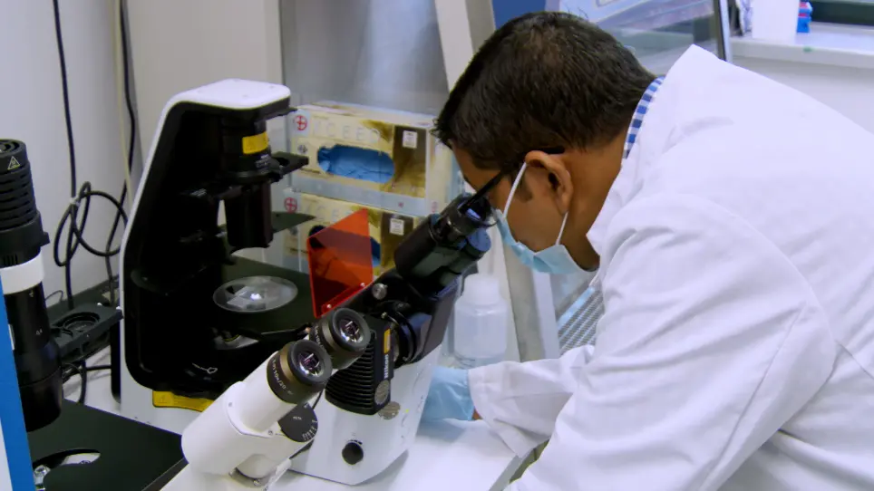Nuclei Isolation from Fresh Frozen Brain Tumors for Single-Nucleus RNA-seq and ATAC-seq