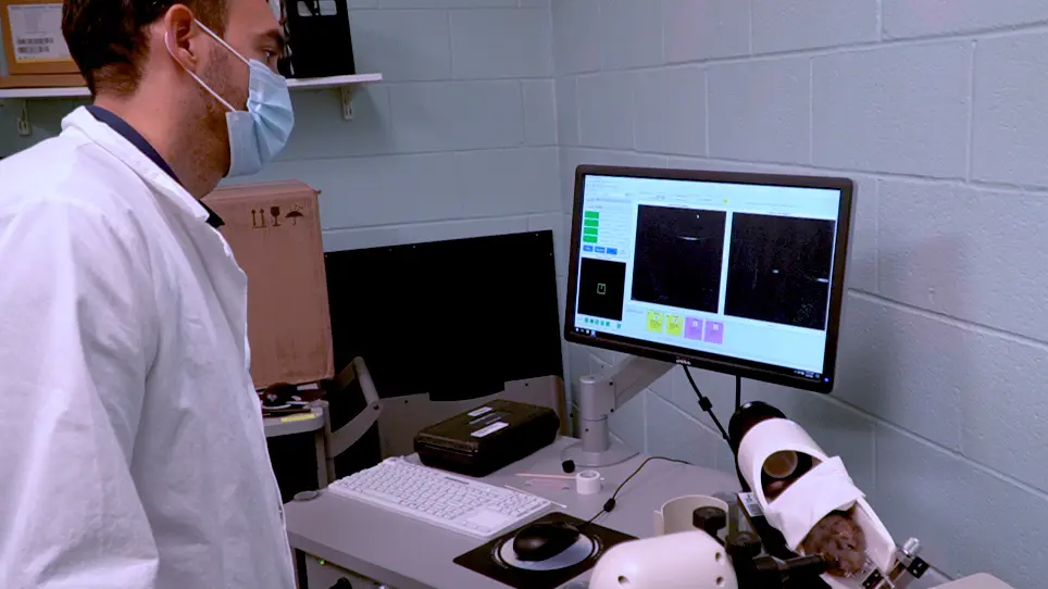 In vivo Structural Assessments of Ocular Disease in Rodent Models using Optical Coherence Tomography