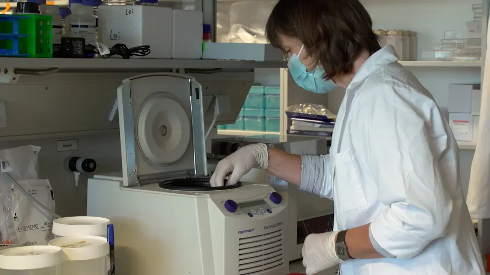 Manipulation of Single Neural Stem Cells and Neurons in Brain Slices using Robotic Microinjection