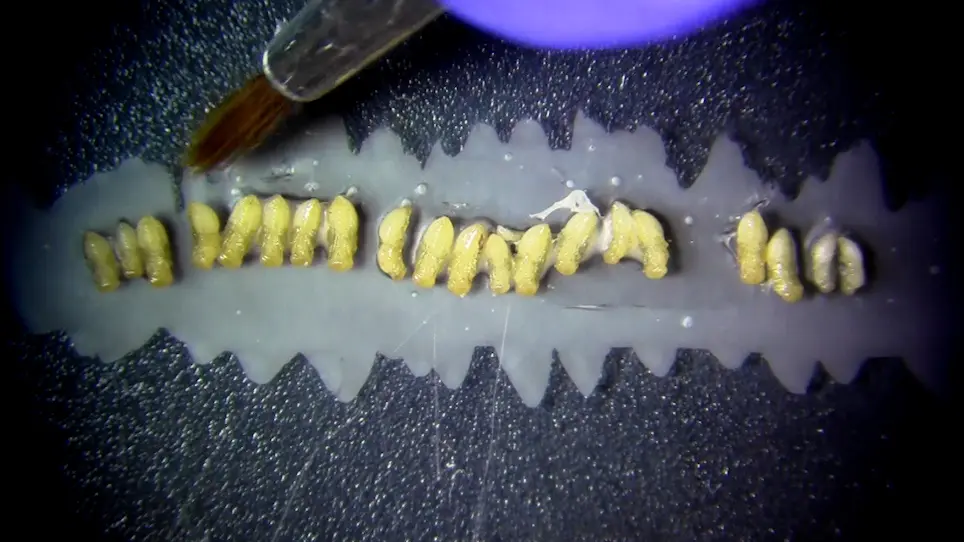 Pupal and Adult Injections for RNAi and CRISPR Gene Editing in <em>Nasonia vitripennis</em>