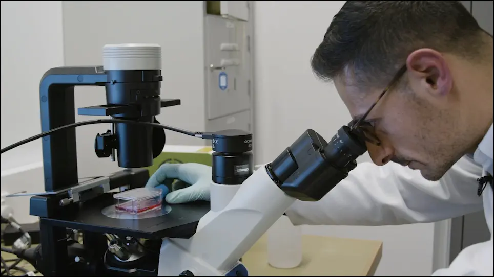 Cardiac Spheroids as in vitro Bioengineered Heart Tissues to Study Human Heart Pathophysiology