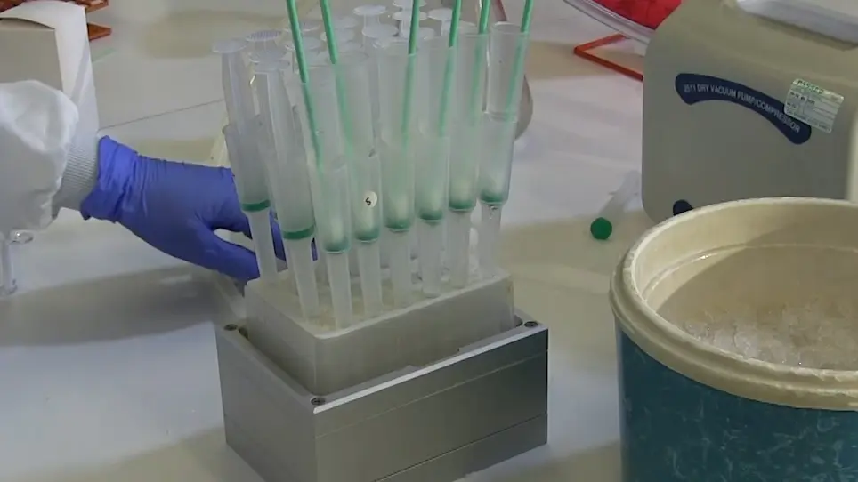 An Economical and Versatile High-Throughput Protein Purification System Using a Multi-Column Plate Adapter