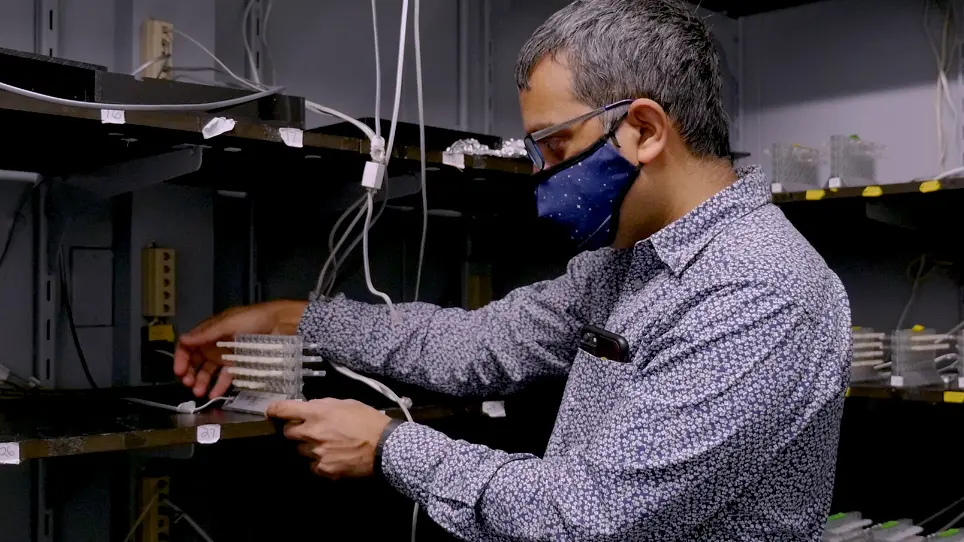 The Sleep Nullifying Apparatus: A Highly Efficient Method of Sleep Depriving <em>Drosophila</em>