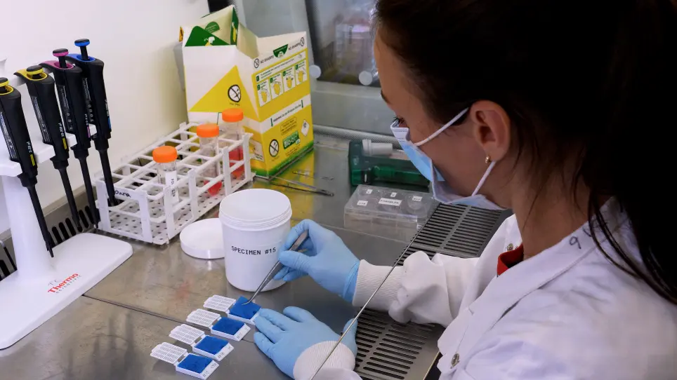 Patient-Derived Tumor Explants As a "Live" Preclinical Platform for Predicting Drug Resistance in Patients