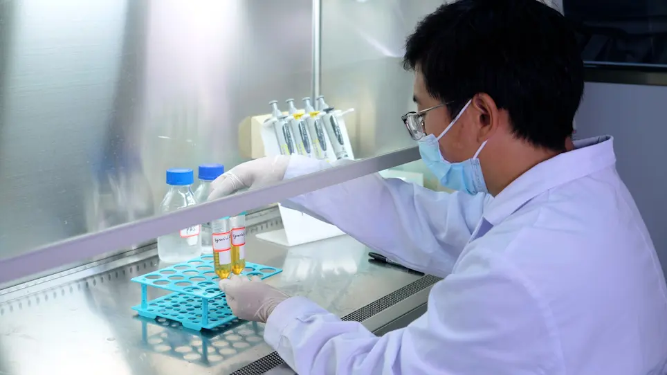 Large-Scale Preparation of Synovial Fluid Mesenchymal Stem Cell-Derived Exosomes by 3D Bioreactor Culture