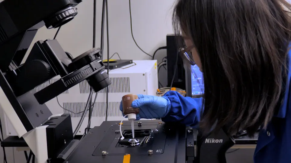 DNA Tension Probes to Map the Transient Piconewton Receptor Forces by Immune Cells