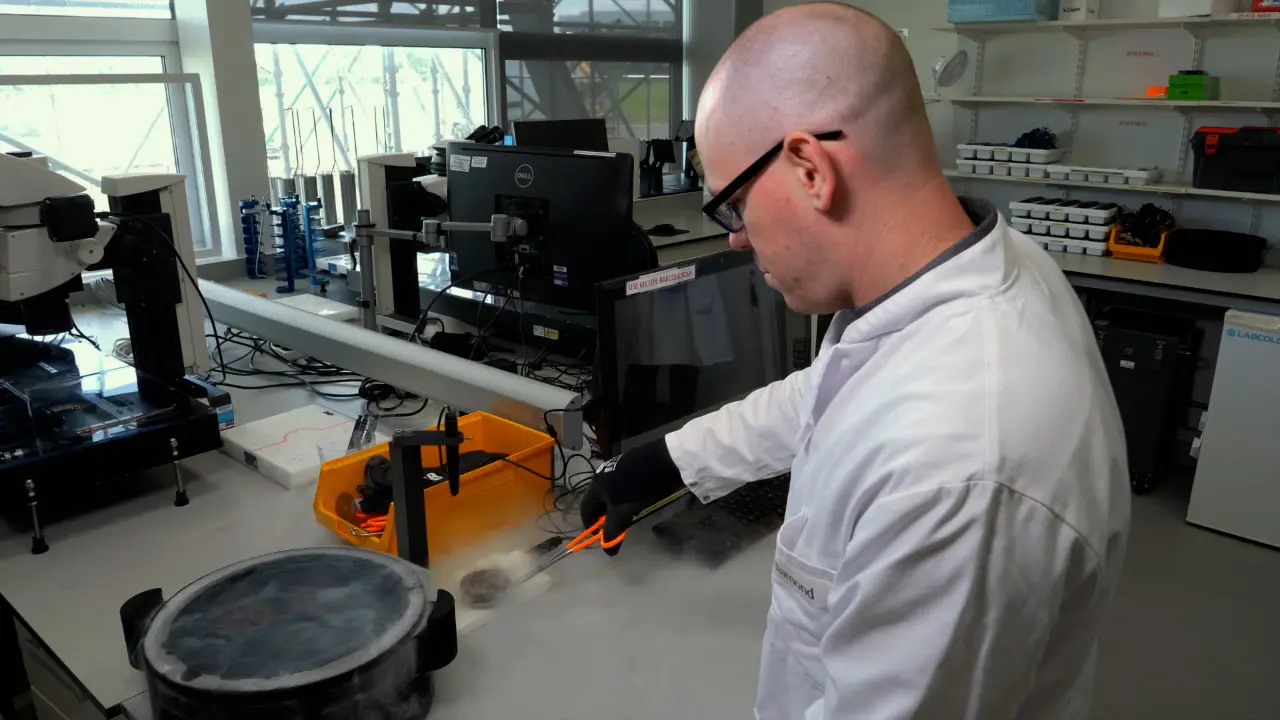 Achieving Efficient Fragment Screening at XChem Facility at Diamond Light Source