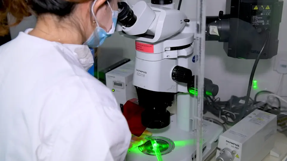 Using the Fluorescent Dye, Rhodamine B, to Study Mating Competitiveness in Male <em>Aedes aegypti</em> Mosquitoes
